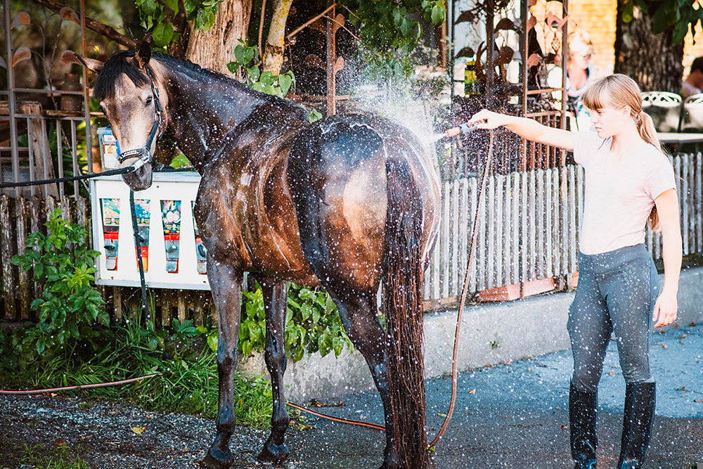 >Moja a tu caballo con agua fría