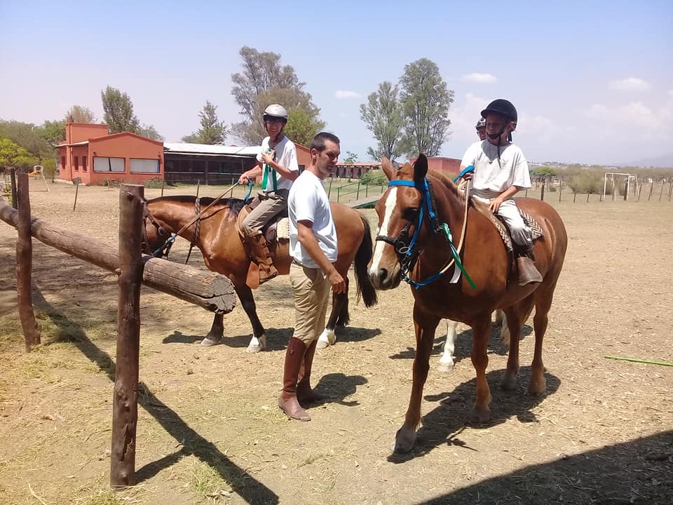 Grupo de caballos en terapia