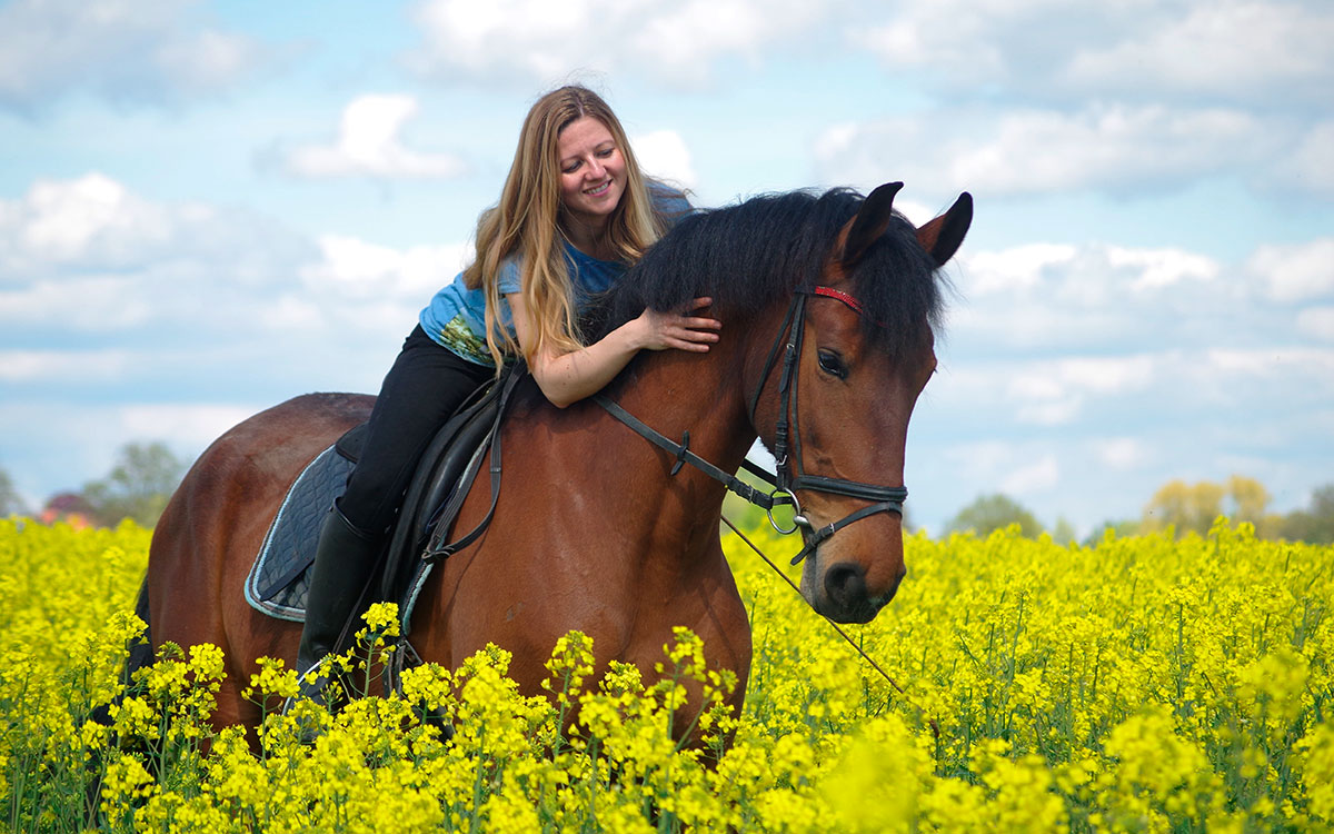 Liebevolle Reiterin mit ihrem Pferd