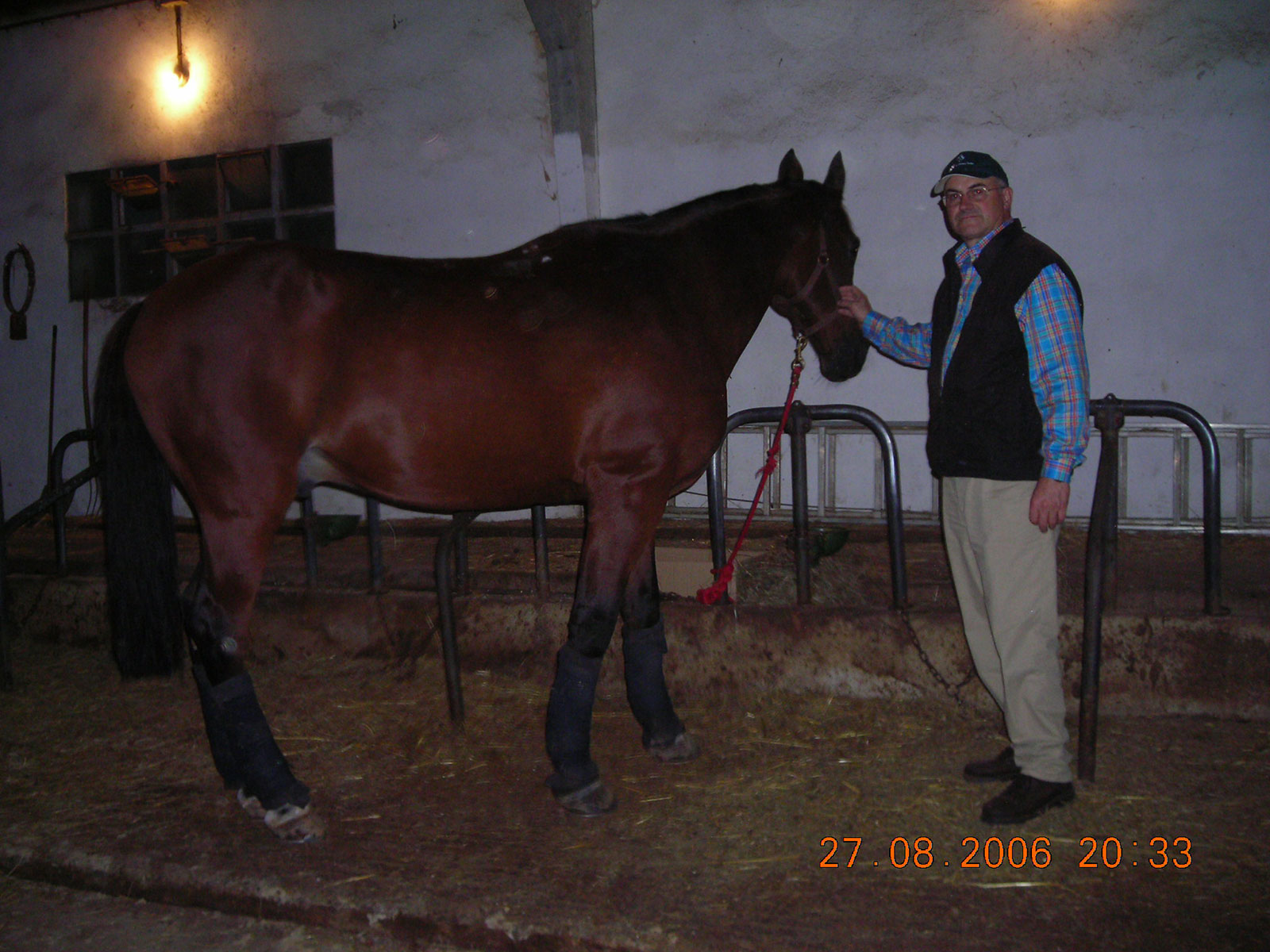 Spanish Equestrian Tourism Federation