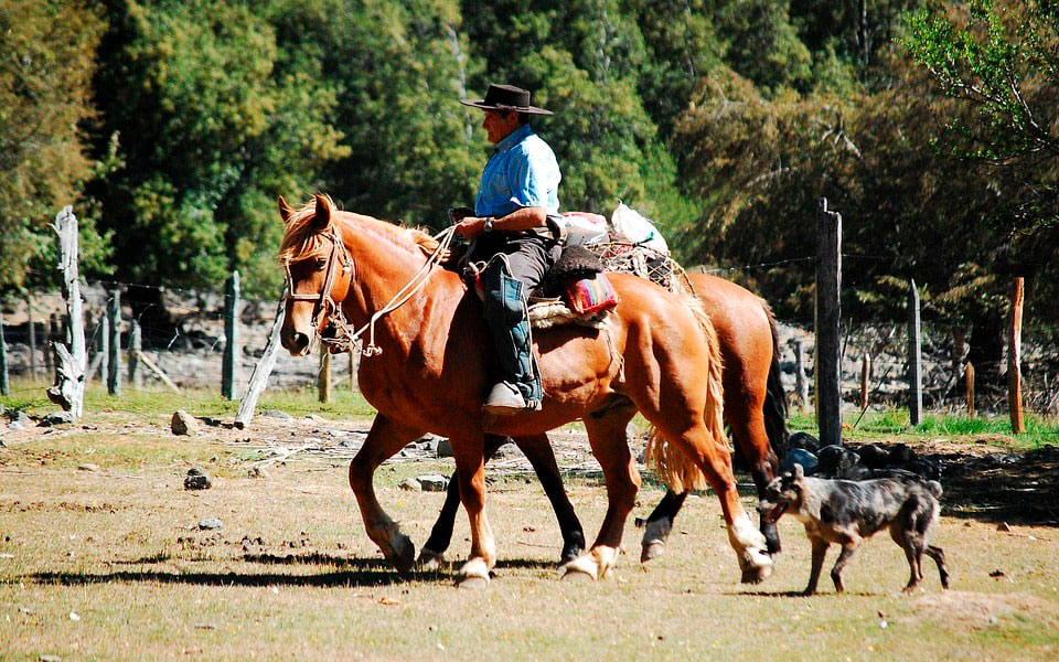Horse riding activities