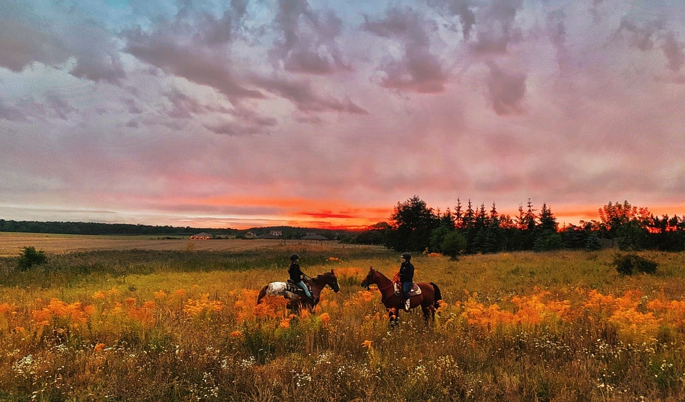 Équitation au coucher du soleil