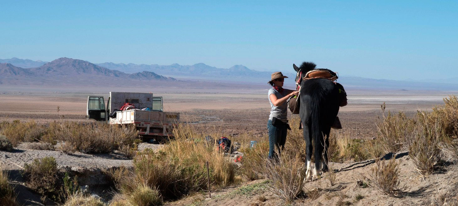 Janine Whyte - Acampando en la Naturaleza