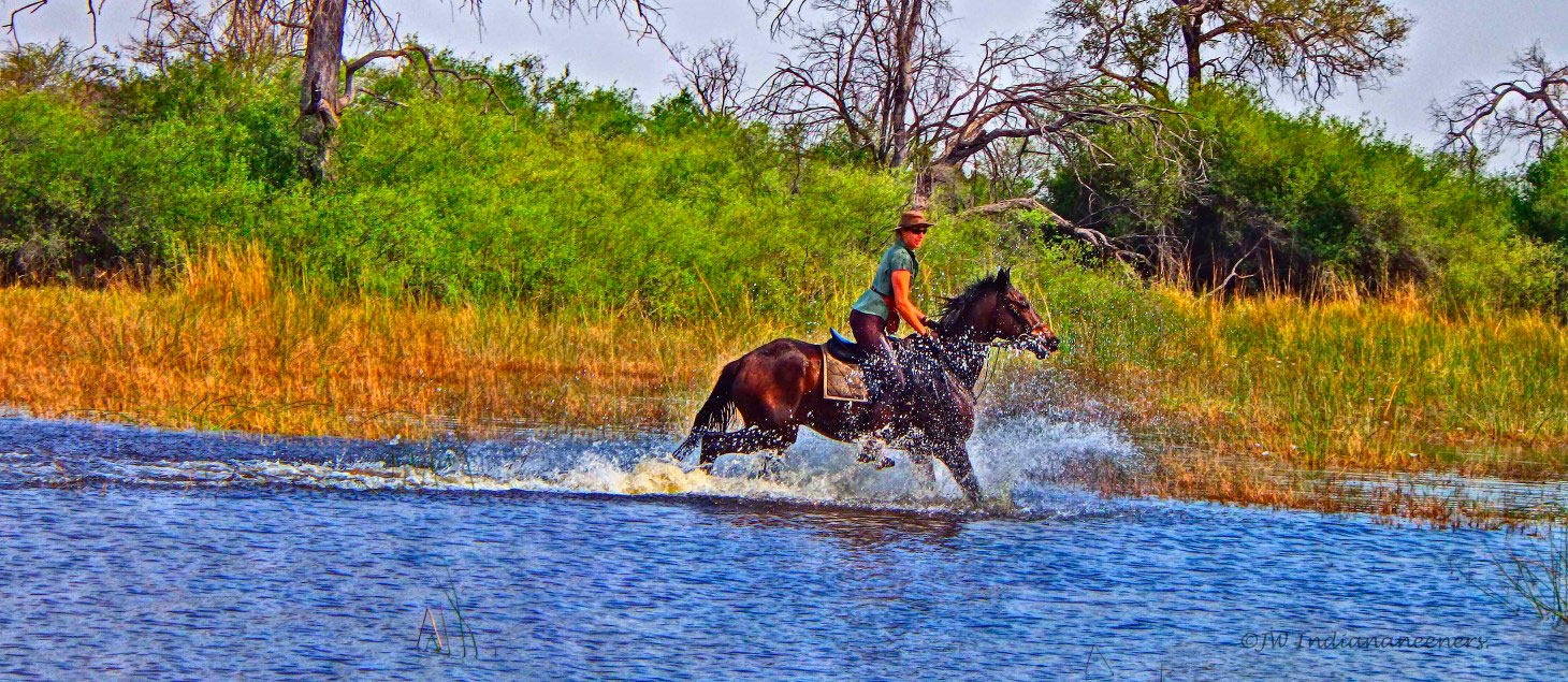 Janine Whyte - Safaris en Africa