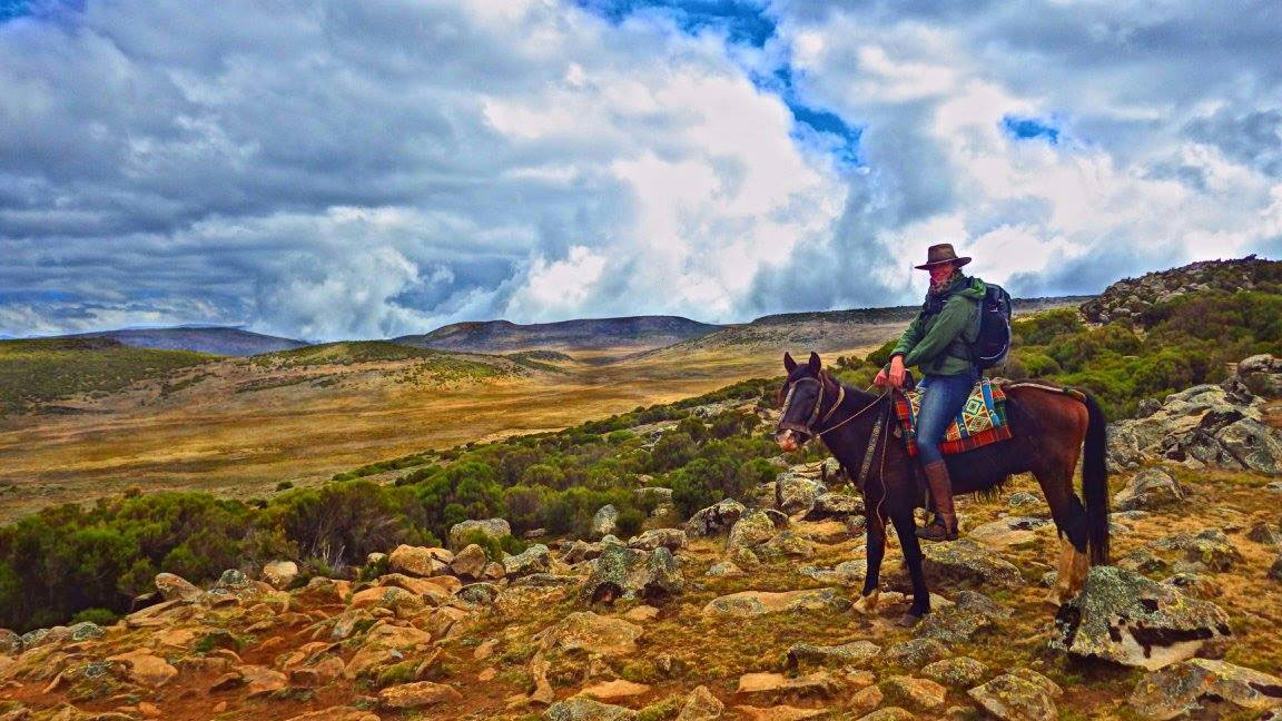 Janine Whyte - Vacaciones a Caballo