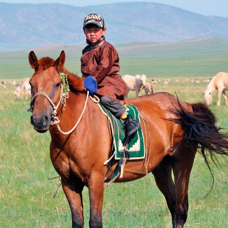 Mongolian kid on horseback