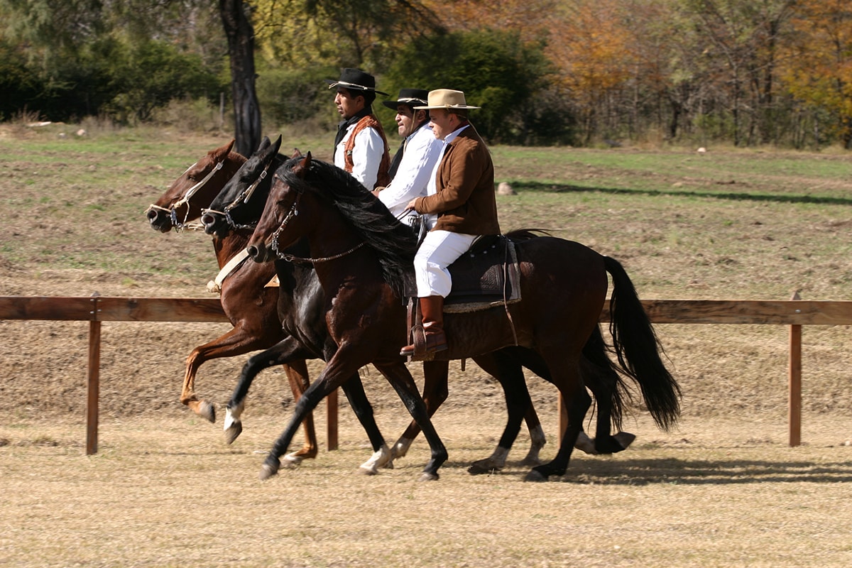 Gauchos en caballos Peruano de Paso