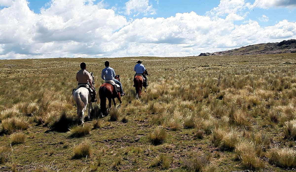 Route à cheval