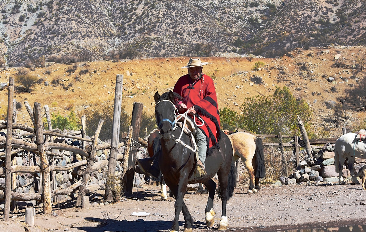 Horse riding in the Andes - Argentina