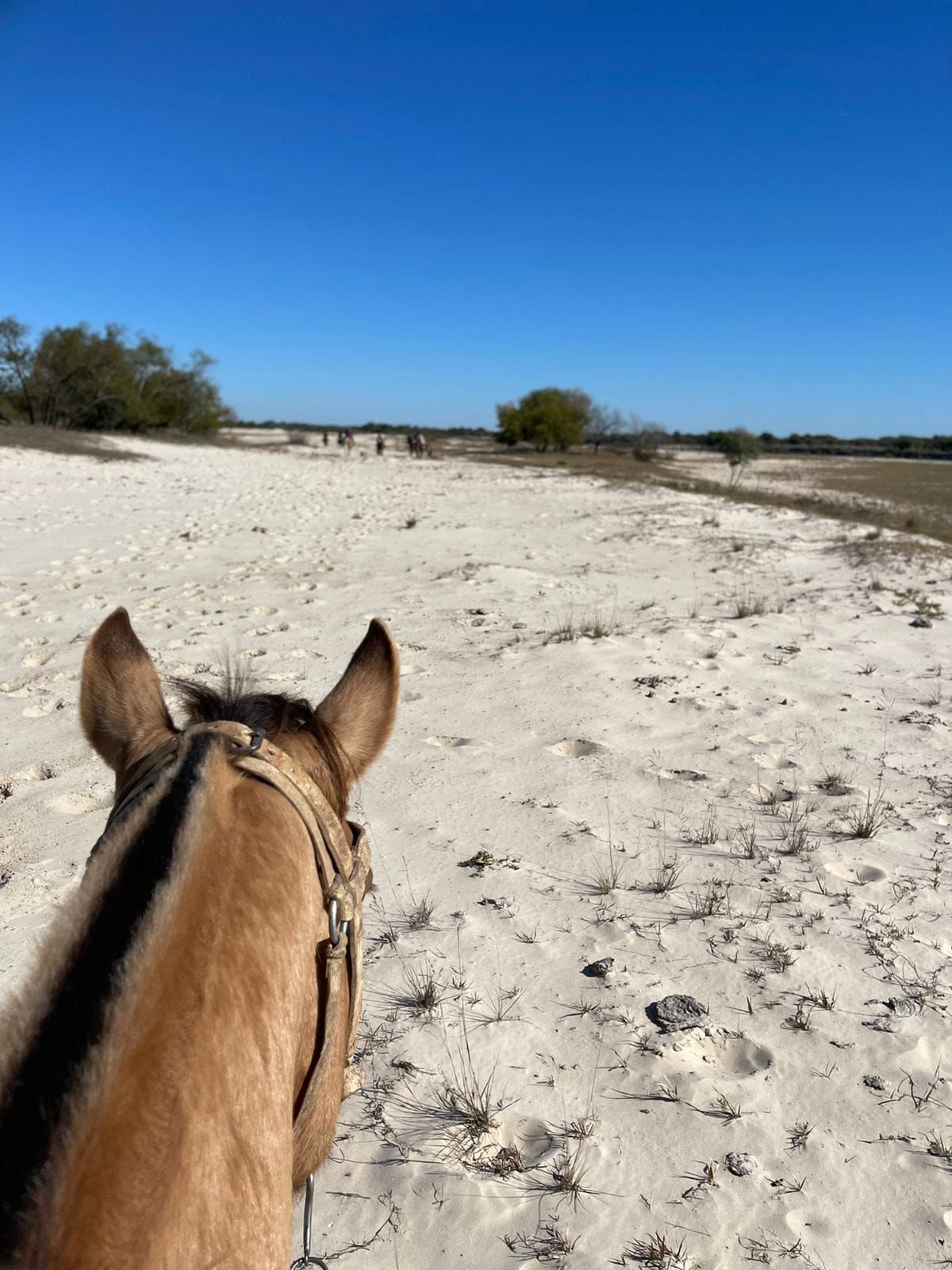 Landschaften besucht Estancia Buena Vista