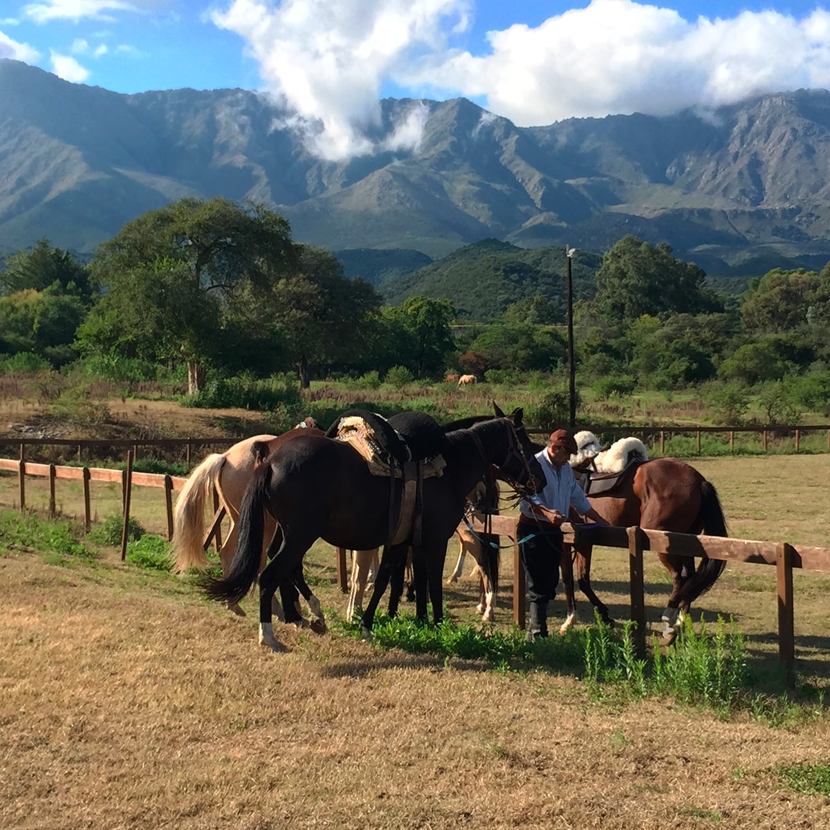 Horseback riding in Traslasierra, Córdoba