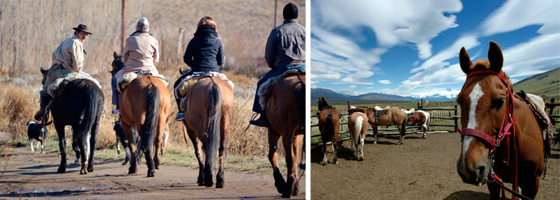 Rutas de Cabalgatas del Glaciar Proveedor Patagonia Argentina