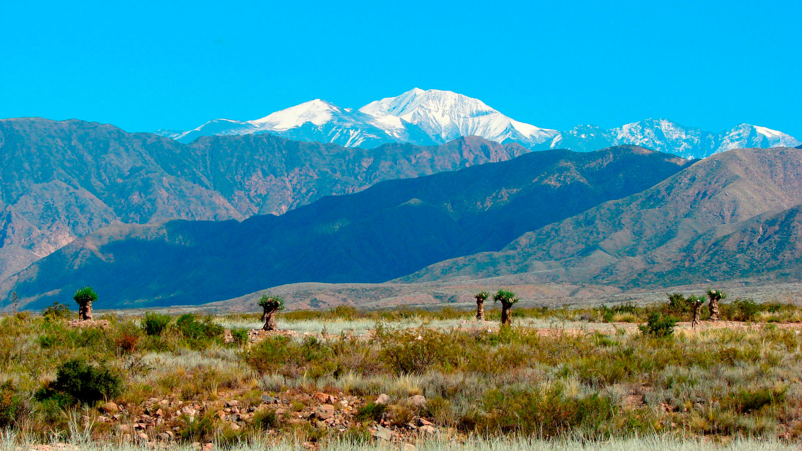 Landscape in the province of Mendoza - Argentina