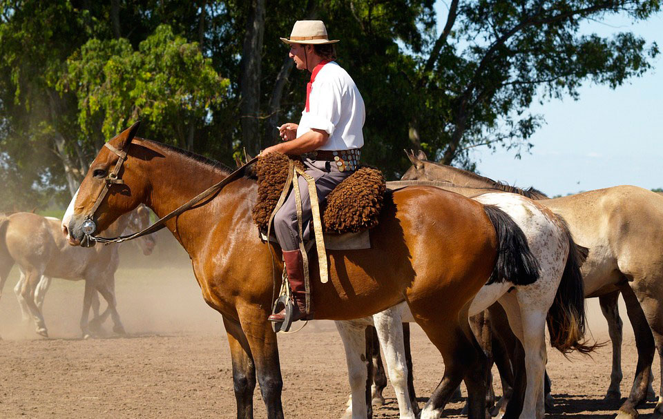 Discover Argentine regions on horseback