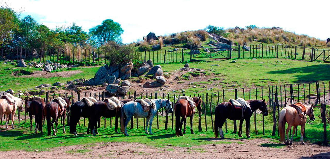 Horse Riding in Cordoba - Argentina