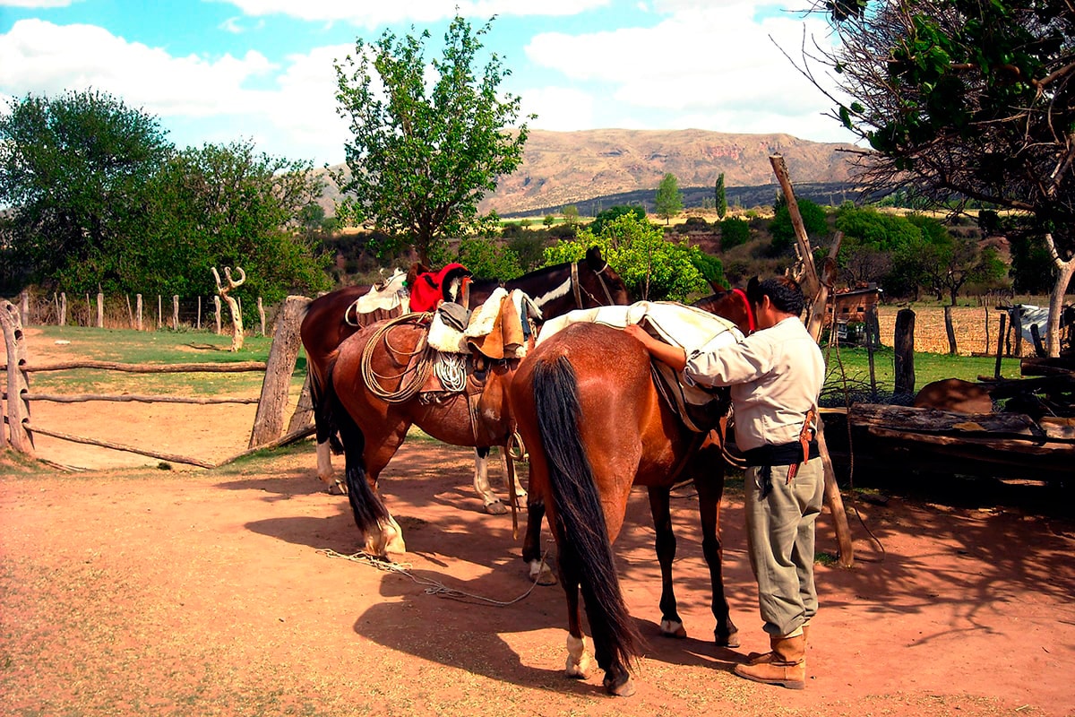 Gaucho in the Lerma Valley - Argentina