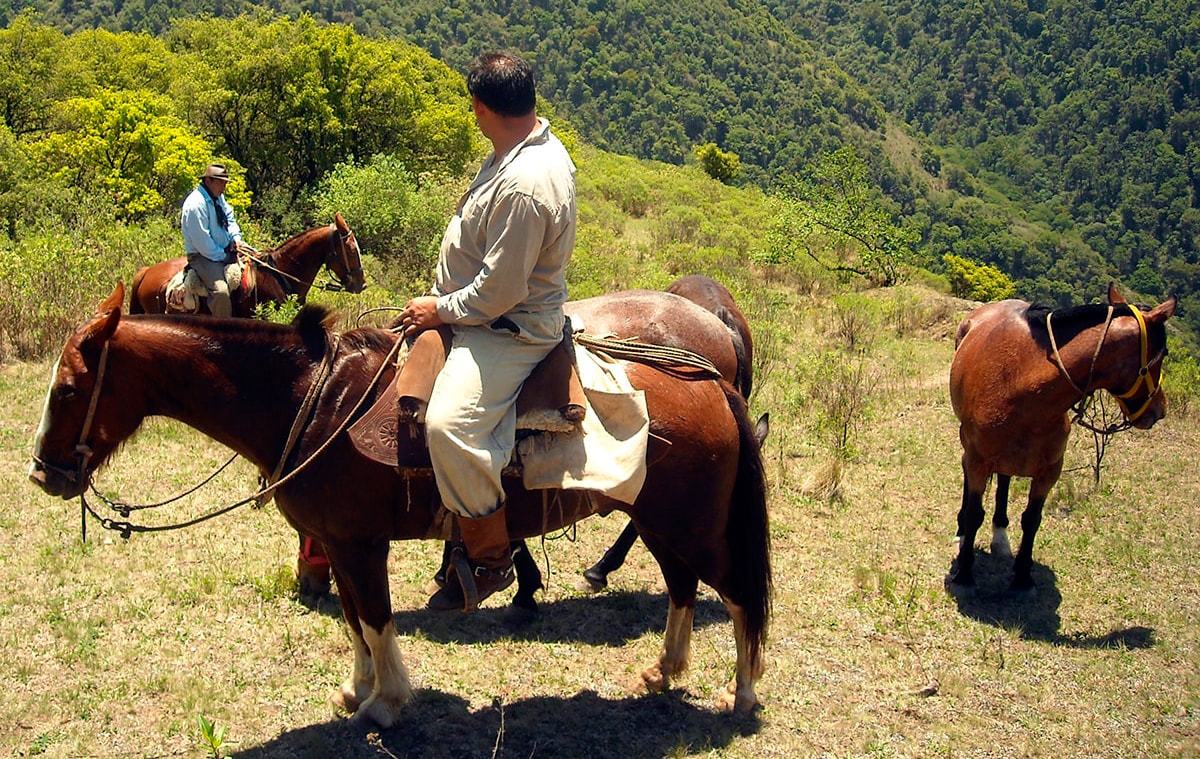 Horse riding in the Lerma Valley wiht gauchos