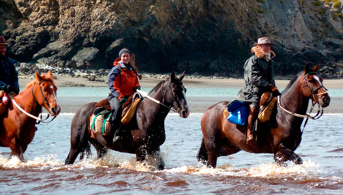 Discover Tierra de Fuego on horseback