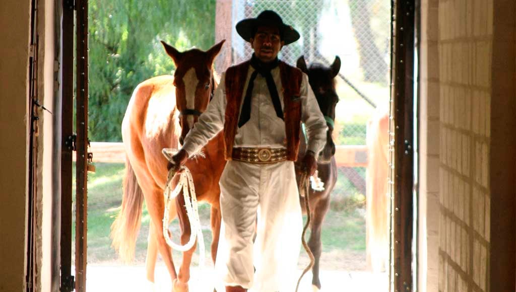 Gaucho mit peruanischen Paso-Pferden - Argentinien