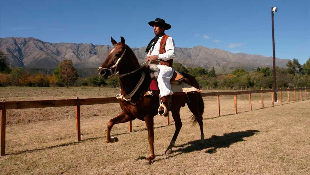 Gaucho reitet ein peruanisches Paso-Pferd - Argentinien