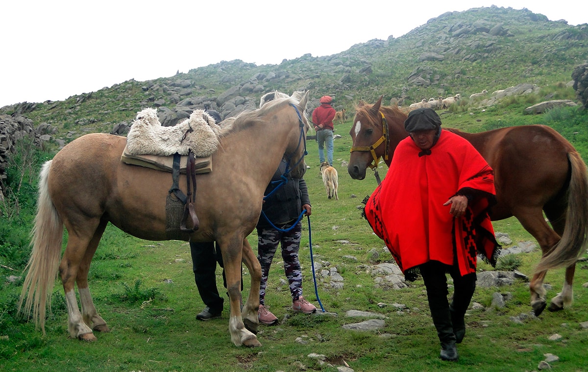 Randonnée à cheval dans la vallée de Lerma avec des gauchos