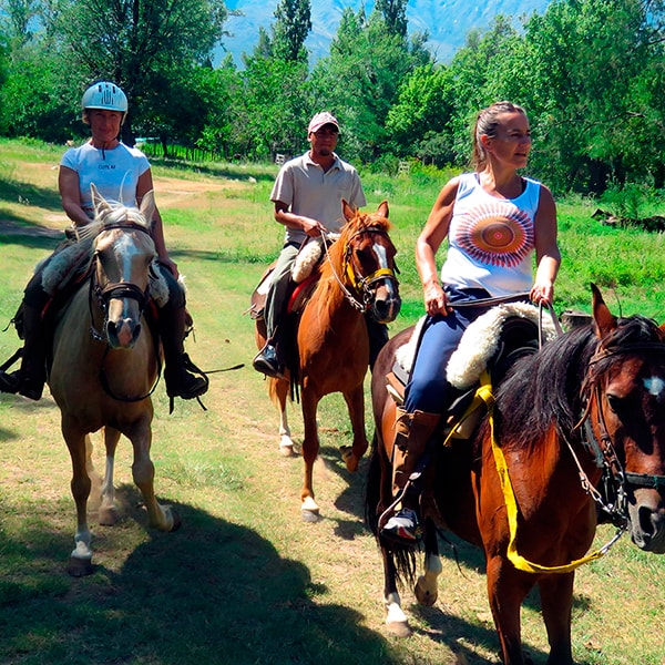Horseback riding vacations en Estancia Haras Ampascachi - Argentina