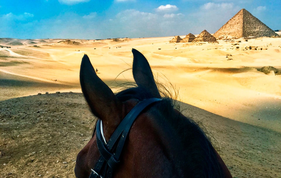 Horse riding in Egypt
