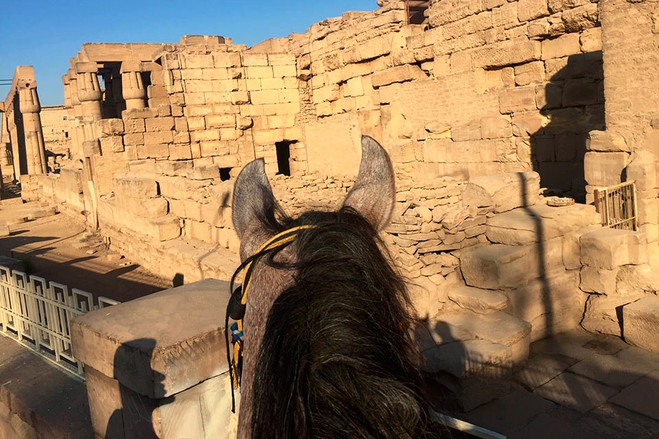 Rutas a caballo en Egipto