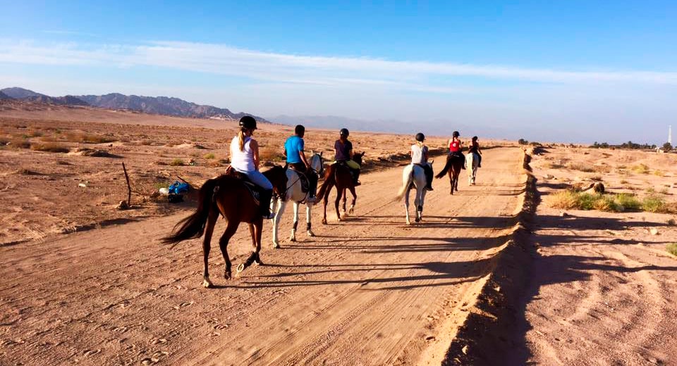 Horseback riding in Egypt