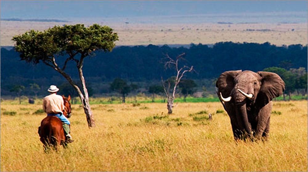 Safari a caballo en Kenia