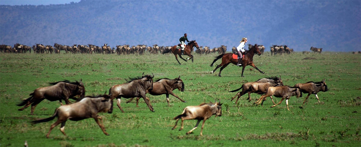 Kenia safari a caballo