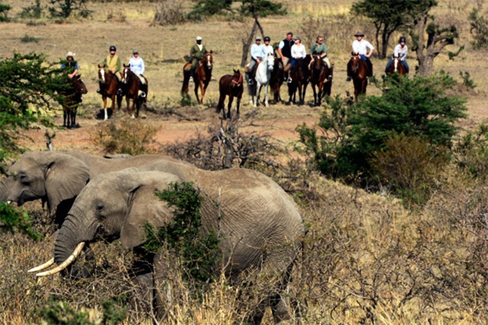 Rutas a caballo y safari en Kenia