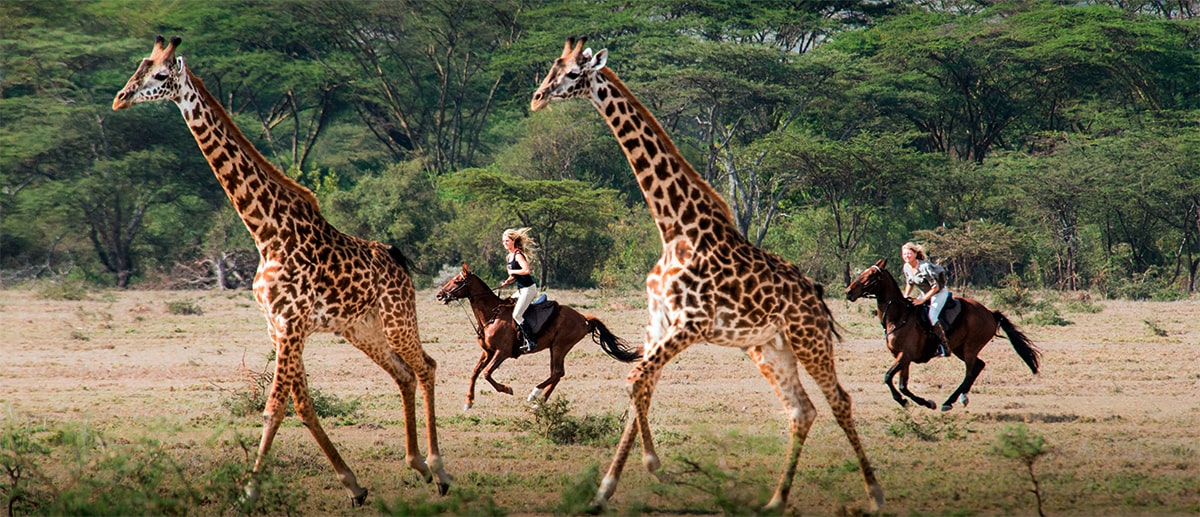 Safari in Kenia a caballo