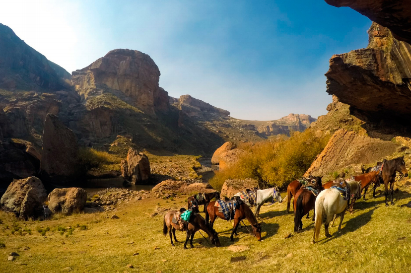 Reiterferien in Lesotho
