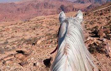 Caballo de Cheval Agadir Ranch