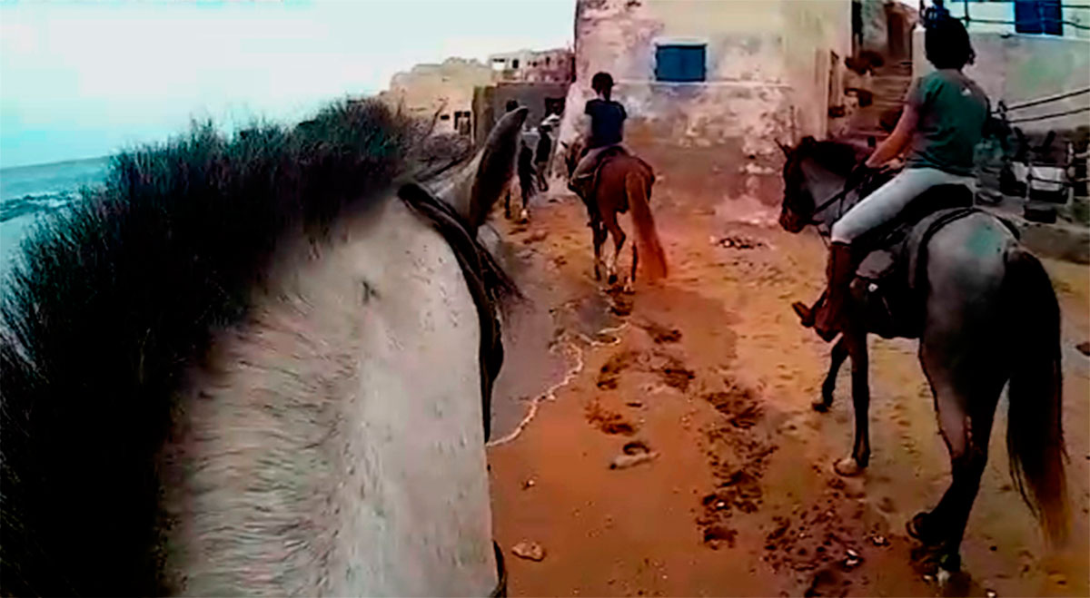 Cheval Agadir Ranch Acienda