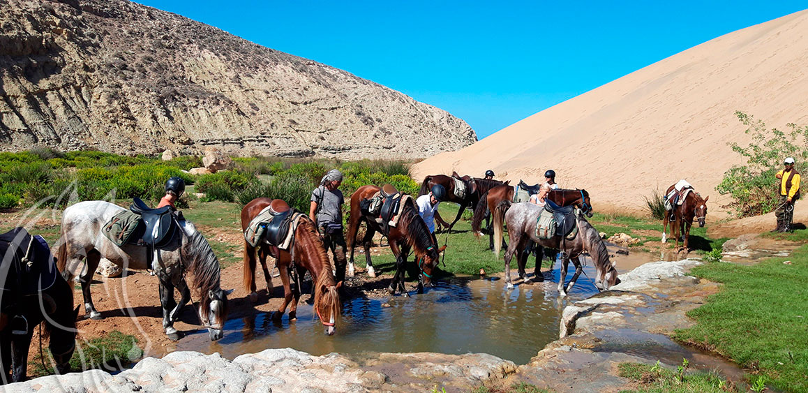 Rutas a Caballo de Equi Evasion