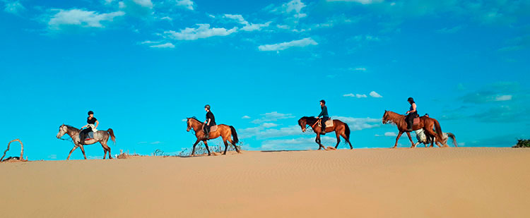 A caballo por el desierto: Valle de Drâa