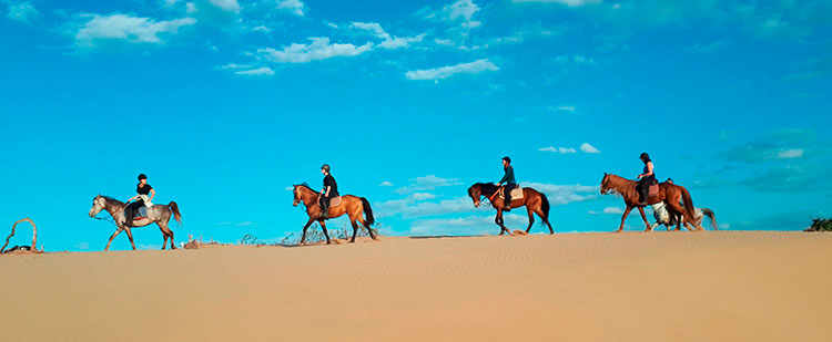 Reiten durch die Wüste: Drâa Valley