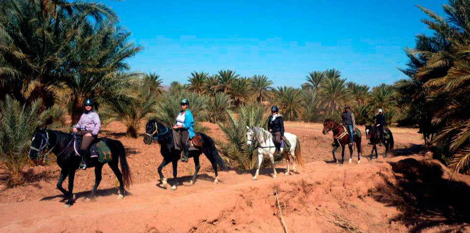 Paseo a caballo por el desierto: Valle de Drâa