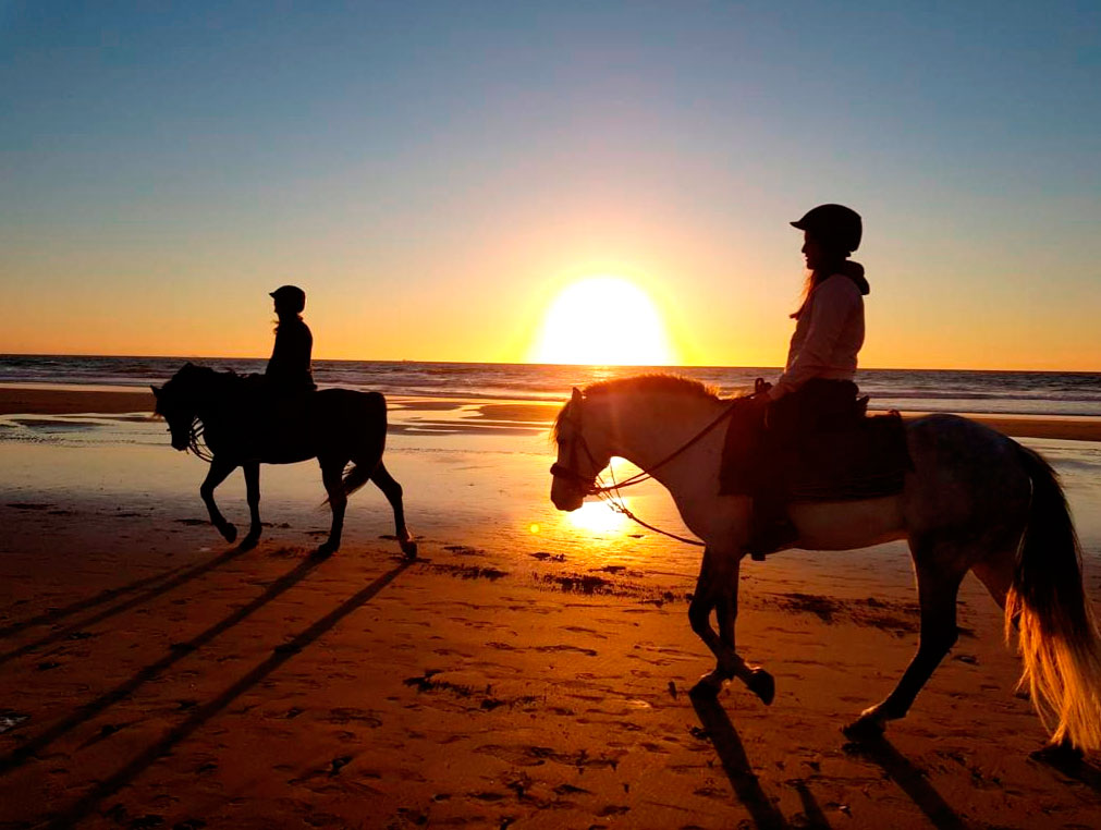 Balade à cheval d'une heure à Essaouira, Maroc - Ranch De Diabat