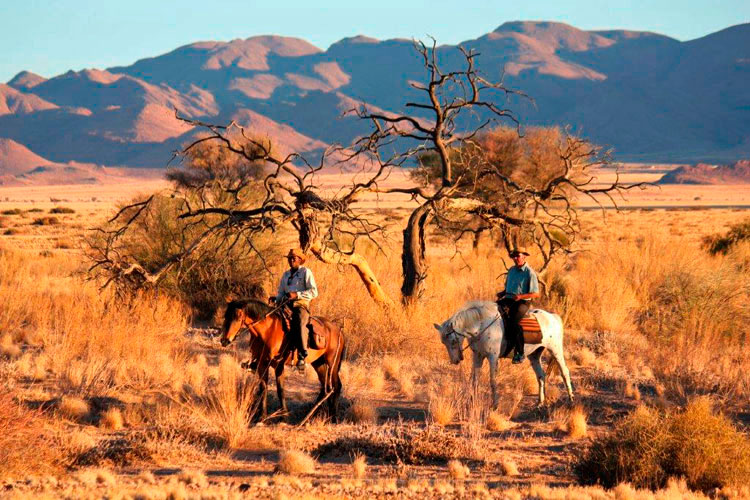 African Horses Safari in Namibia
