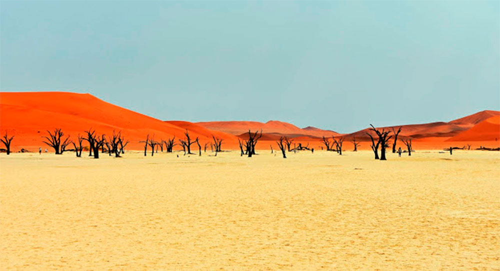 Paysage désertique en Namibie