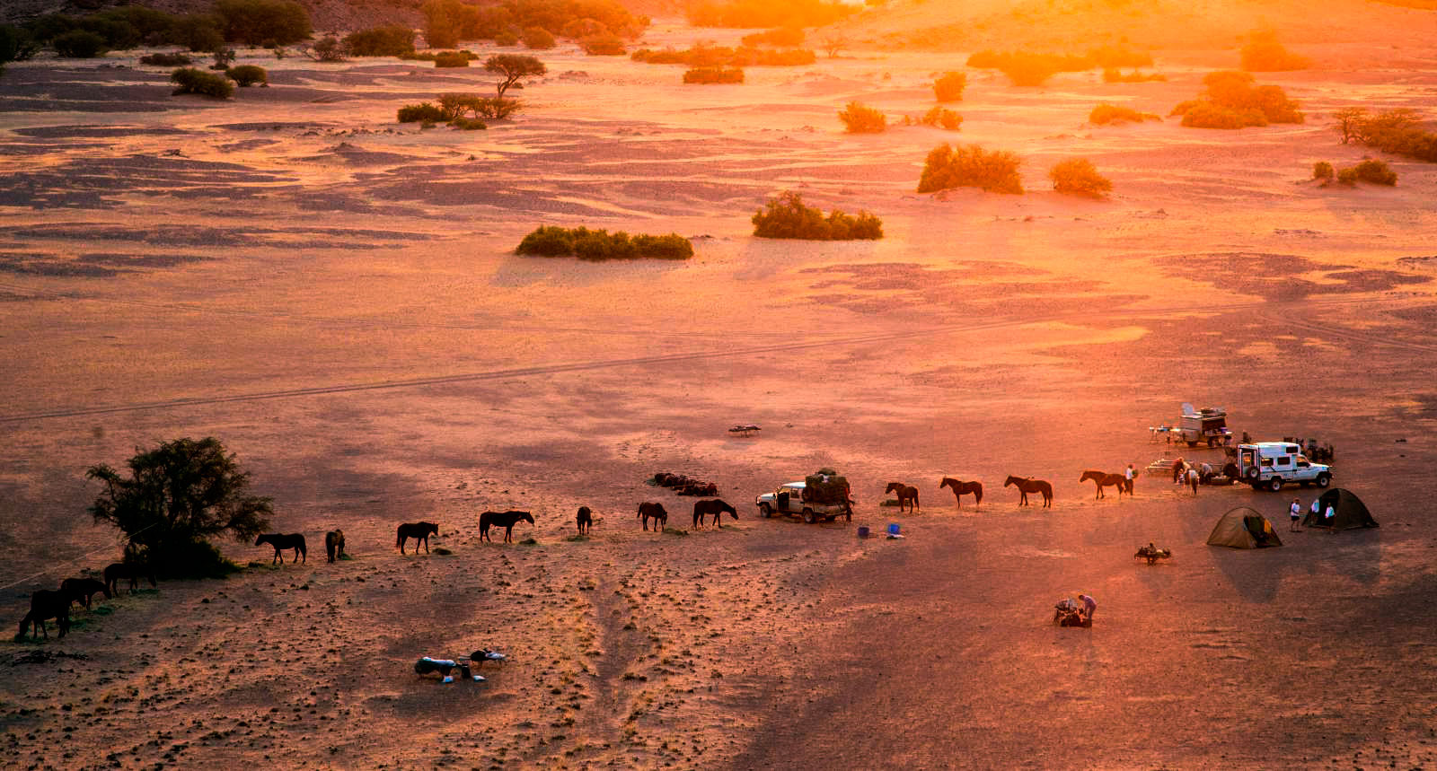 Safaris à cheval dans le Damaraland - Namibie