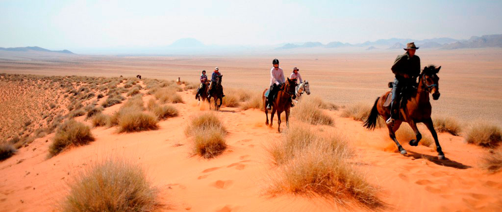 Safari in der Namib Wüste