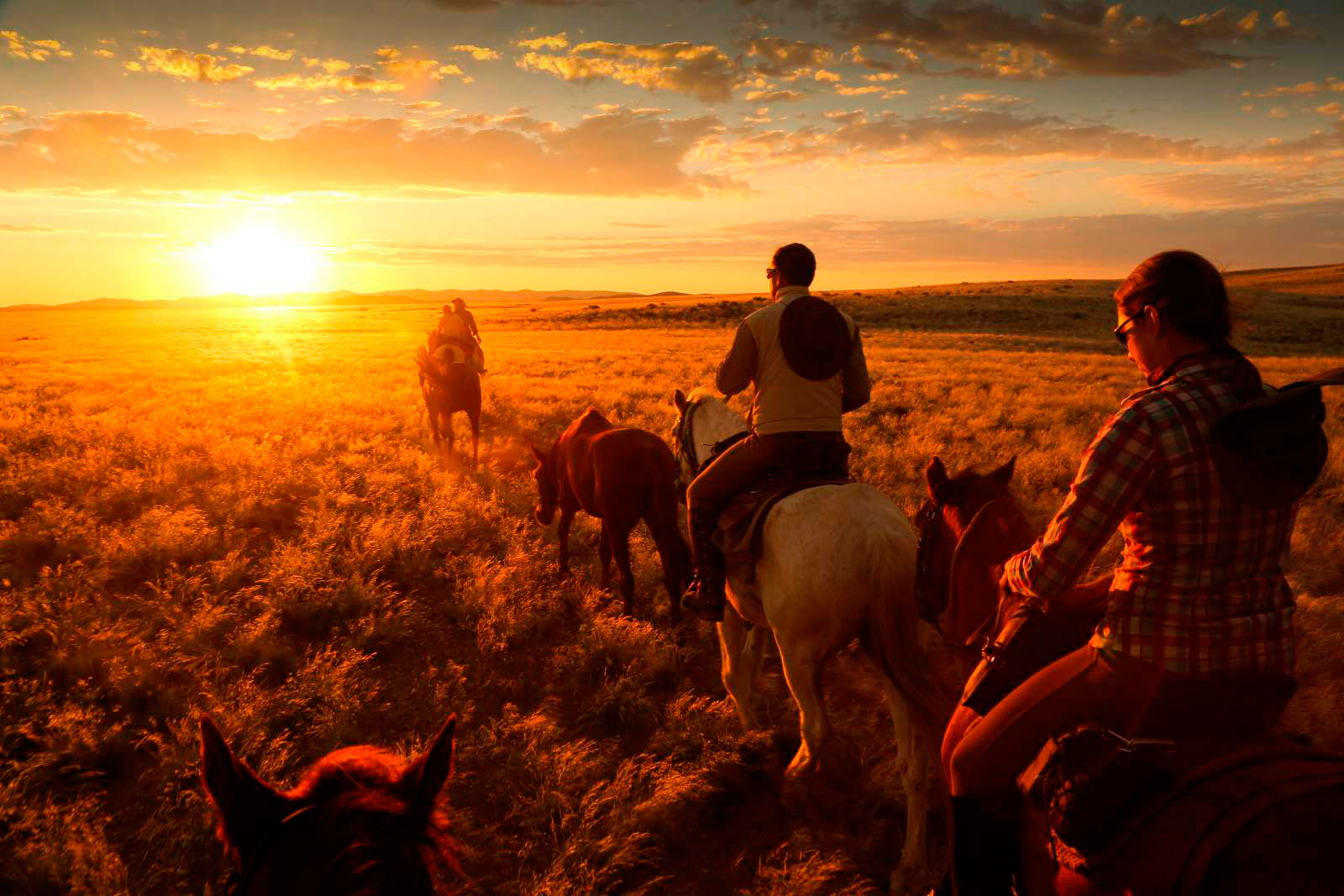 Pferdesafari-Ferien in Namibia