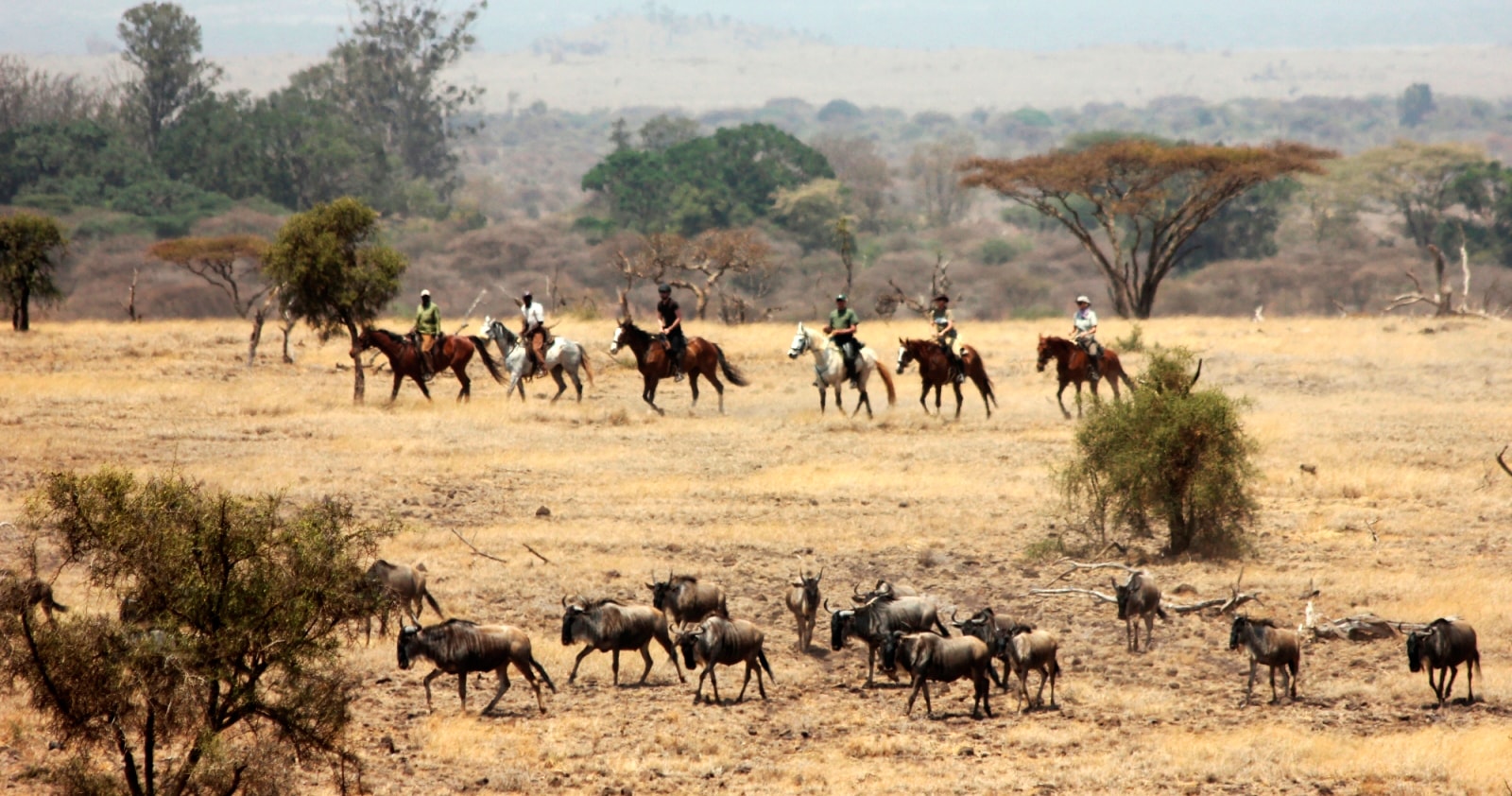 Safari en Tanzanie à cheval