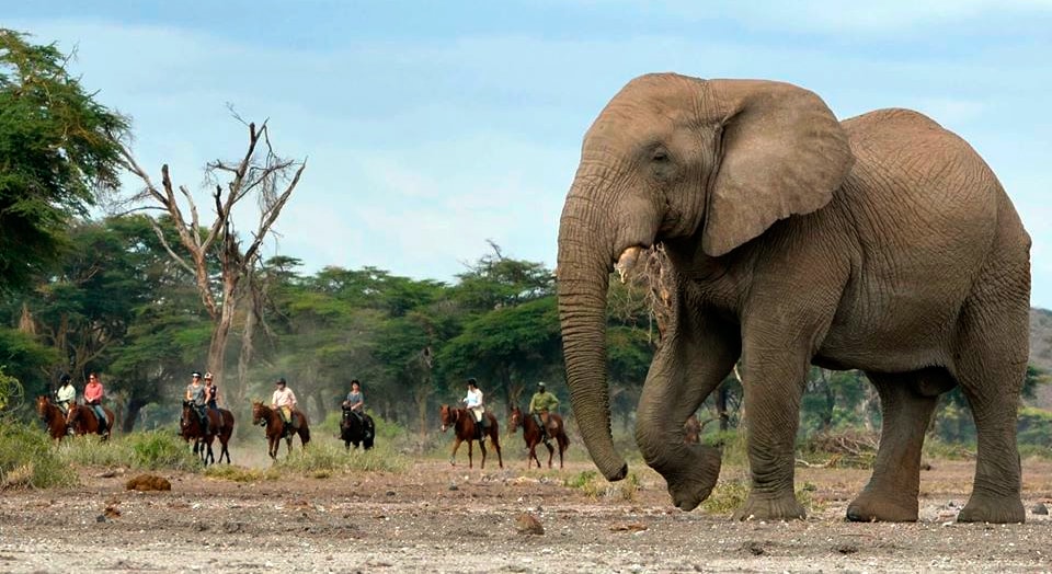 Safari à cheval en Tanzanie