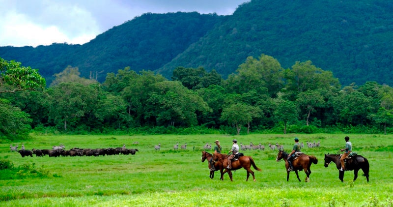 Safari en Tanzanie à cheval