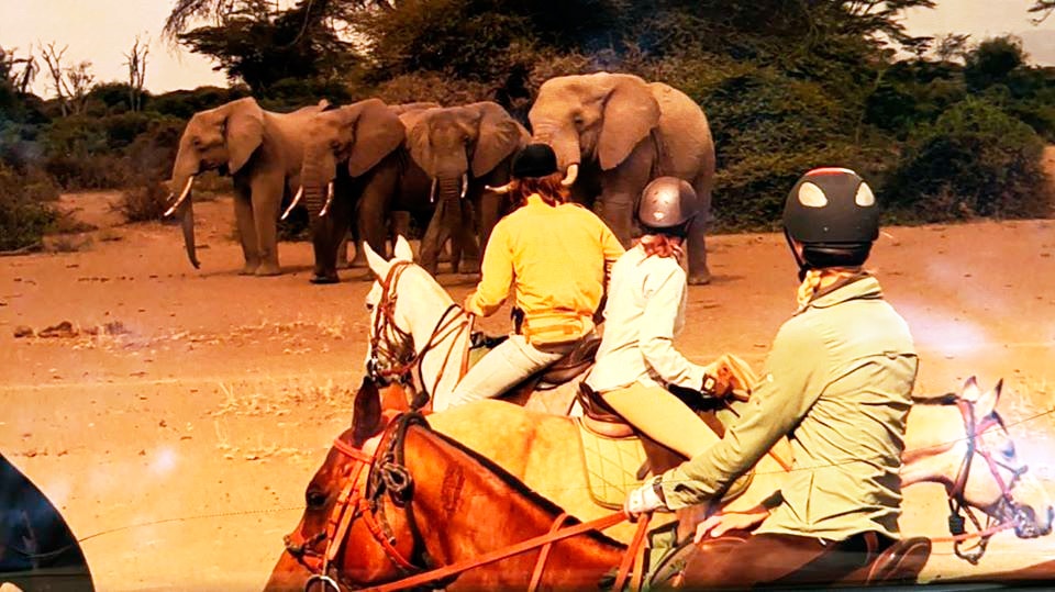 Équitation en Tanzanie